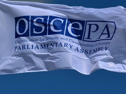Delegation of several countries in the OSCE Parliamentary Assembly calls on the Portuguese authorities not to allow the Georgian Dream at the OSCE Parliamentary Assembly session
