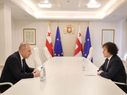 Irakli Kobakhidze met with the newly appointed Ambassador of Georgia to the Republic of Portugal