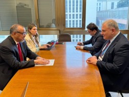 Mikheil Sarjveladze met with the Director General of the World Health Organization