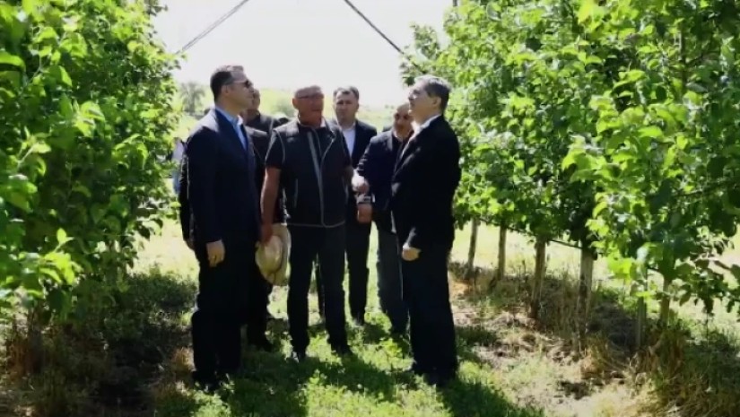 დავით სონღულაშვილი დავით სონღულაშვილი