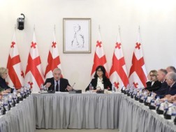 Tea Akhvlediani was heard at the session of the temporary commission related to restoration and de -occupation issues