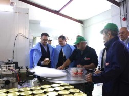 David Songulashvili: Within the framework of the State Program of Co -Processing and Savings Enterprises, 270 enterprises have been created today