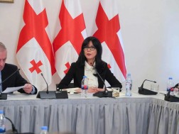 The State Minister Tea Akhvlediani was listened to in the Parliament of Georgia