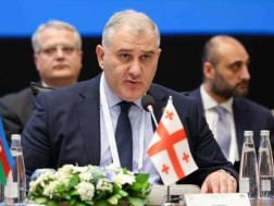 სტამბოლში გამართულ ოჯახის საერთაშორისო ფორუმზე, მიხეილ სარჯველაძე სიტყვით გამოვიდა