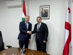 Parliamentary delegation met with the Minister of Foreign Affairs and Immigrants of Lebanon