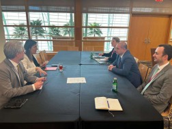 The delegation of the Parliament of Georgia met with the Secretary General of the NATO Parliamentary Assembly