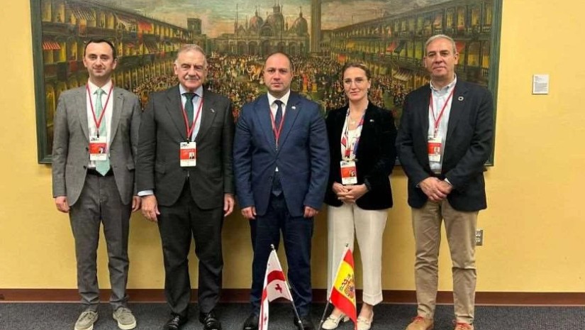 დელეგაცია