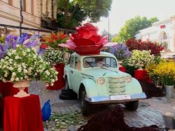 Citizens are waiting for a wide variety of programs on the streets of Alexander, Pkhov, Purtseladze and Vekua