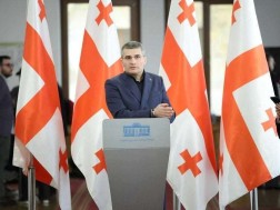 The attitude of the diplomatic corps or our external friends is absolutely wrong, and this is an attempt to interfere in the country's internal affairs, to look at their countries and to talk about everyone - Mamuka Mdinaradze