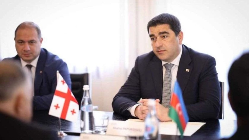 შალვა პაპუაშვილი
