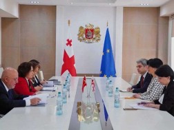 თეა ახვლედიანი თურქეთის რესპუბლიკის საგარეო საქმეთა მინისტრის მოადგილეს შეხვდა