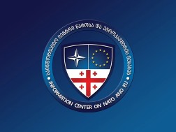 The head of the NATO and the EU Information Center releases a statement