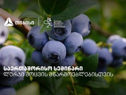 BLUBERI