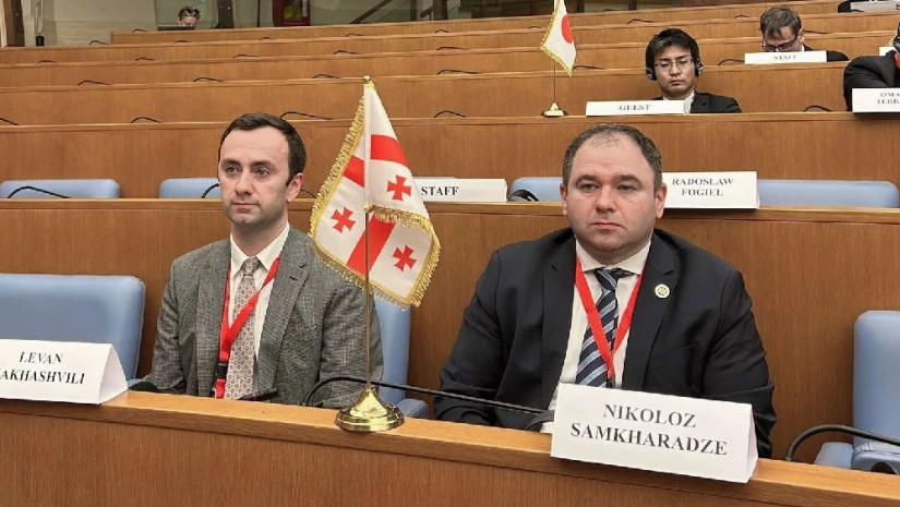 საქართველოს დელეგაცია