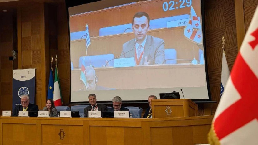 ლევან მახაშვილი