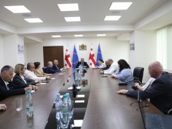 მიხეილ სარჯველაძე პროფესიული განვითარების საბჭოს წევრებს შეხვდა