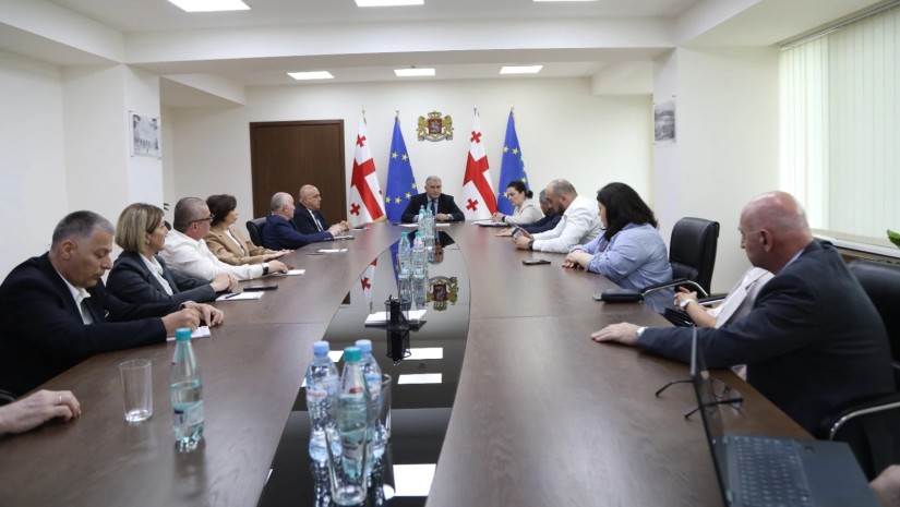 მიხეილ სარჯველაძე პროფესიული განვითარების საბჭოს წევრებს შეხვდა