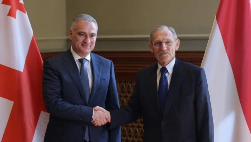პაატა სალია