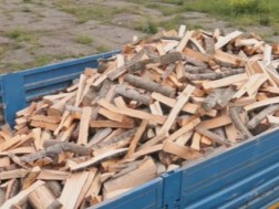 Officers of the National Forestry Agency have identified offenses in Kakheti and Mtskheta-Mtianeti regions