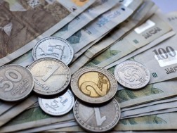 What does the animals depicted in Georgian money?
