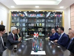 დავით სონღულაშვილი