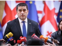 Shalva Papuashvili: Today is June 20. A day when in Georgia, since 2012, a plan, structure and form of policy radicalization has been fully announced
