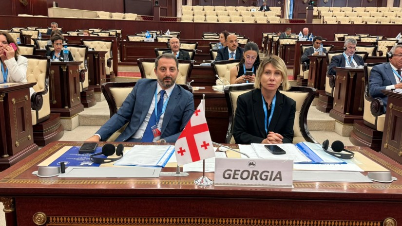 საქართველოს საპარლამენტო დელეგაცია
