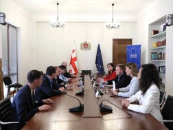 გივი მიქანაძე და გიორგი ჩაკვეტაძე უნგრეთის მმართველი პარტიის ახალგაზრდული ორგანიზაციის წევრებს შეხვდნენ