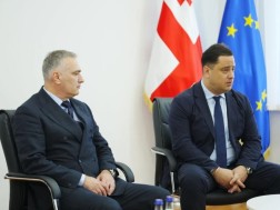 Nika Tskhvarashvili, Head of the National Agency for Crime Prevention, Non -Careful Sentences and Probation Agency