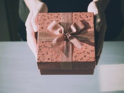 Items that cannot be brought from a trip