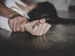 ძალადობა