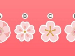 ყვავილი
