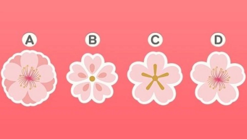 ყვავილი