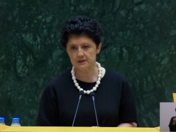 Tea Tsulukiani summarized the activities of the Investigative Commission and appealed to Parliament with a request for extension