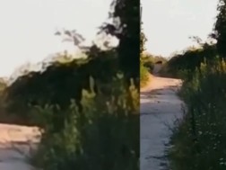 ბულგარეთი