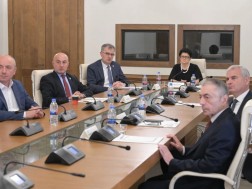 პარლამენტის დროებითი საგამოძიებო კომისია