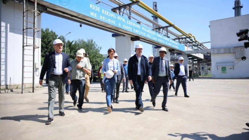 დავით სონღულაშვილი დავით სონღულაშვილი
