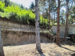Near Lisi Lake, dismantling of illegal construction and fencing in the forest zone - Tbilisi City Hall