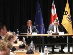Members of Lelo held a meeting with representatives of the diplomatic corps