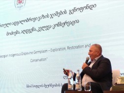 ლევან უჯმაჯურიძე