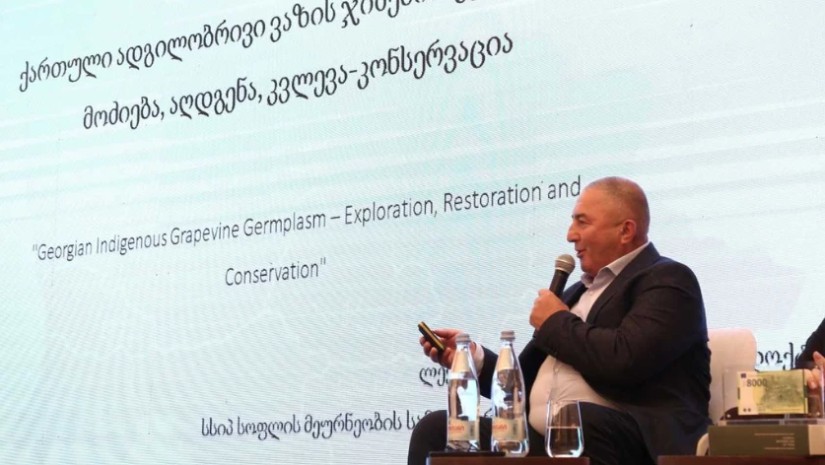 ლევან უჯმაჯურიძე ლევან უჯმაჯურიძე