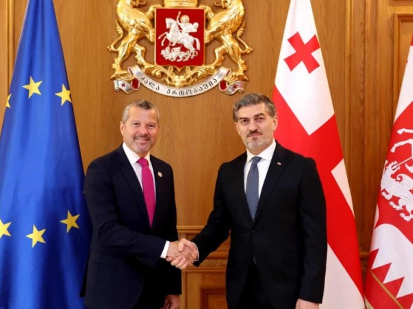 მიხეილ ყაველაშვილი