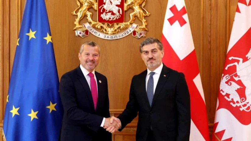 მიხეილ ყაველაშვილი