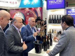 Georgian Wine at the International Exhibition of Seoul - Six companies from Georgia participated in the exhibition