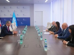 Mariam Kvrivishvili met with the International Maritime Organization GM