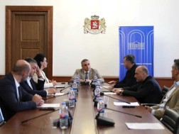 საპროცედურო საკითხთა კომიტეტმა გივი მიქანაძის ადგილმონაცვლის, დავით დოლიძის პარლამენტის წევრის უფლებამოსილების ცნობის საკითხი განიხილა