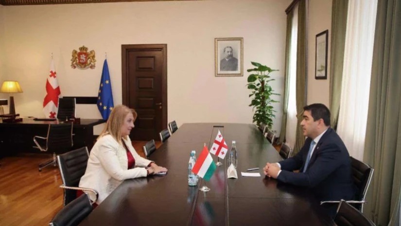 შალვა პაპუაშვილი