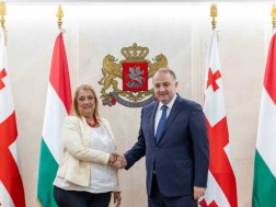 თავდაცვის მინისტრმა უნგრეთის ელჩთან გამოსამშვიდობებელი შეხვედრა გამართა