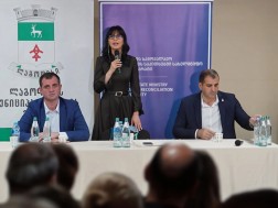 State Minister Tea Akhvlediani held meetings in the villages of Kakheti region