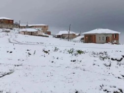 თოვლი
